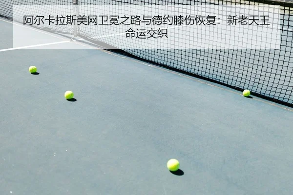 a-er-ka-la-si-mei-wang-wei-mian-zhi-lu-yu-de-yue-xi-shang-hui-fu-xin-lao-tian-wang-ming-yun-jiao-zhi-2-998.jpg