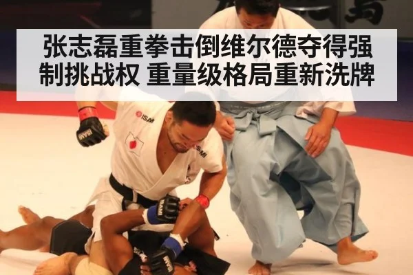 张志磊重拳击倒维尔德夺得强制挑战权 重量级格局重新洗牌