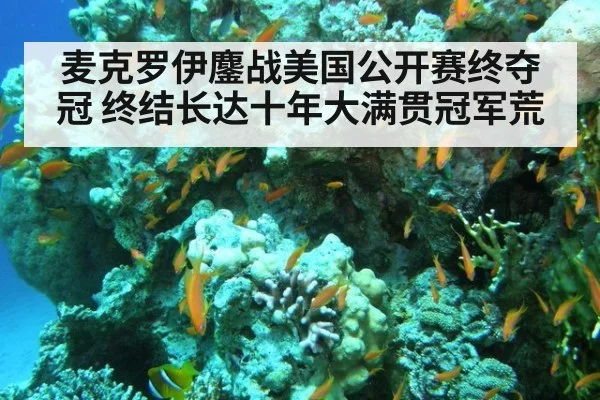 麦克罗伊鏖战美国公开赛终夺冠 终结长达十年大满贯冠军荒